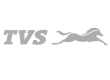 tvs logo